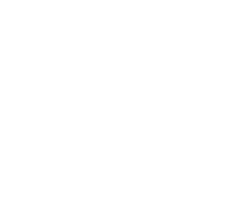 fast shipping